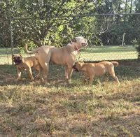 processed/702607b0-eba5-4e1c-92ae-55d7bfd63be7/listing/936b93bb-f851-4ff8-97c9-d6a94b9b2b51/6ad85e82-816a-4f4a-8b81-fedddeb8af9f