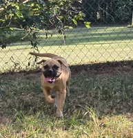 processed/702607b0-eba5-4e1c-92ae-55d7bfd63be7/listing/936b93bb-f851-4ff8-97c9-d6a94b9b2b51/a4f51909-75bf-41b5-bc27-7a650847d238