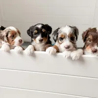 processed/7029957e-0138-4dd1-939a-c84e1ceacde7/facility/0870e667-771d-4a1a-9dc8-b4b926491d5f