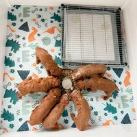 processed/7029957e-0138-4dd1-939a-c84e1ceacde7/facility/5114a8b3-6653-4049-a083-e13c17ec6e4e