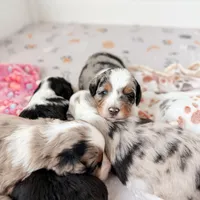 processed/7029957e-0138-4dd1-939a-c84e1ceacde7/facility/6cd7dc01-b7cf-4faa-9882-1a2ae19a3874