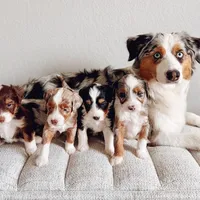 processed/7029957e-0138-4dd1-939a-c84e1ceacde7/facility/917c59a3-6c33-422c-877d-176b8449bb63