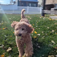 processed/7029957e-0138-4dd1-939a-c84e1ceacde7/facility/ed94a767-ddd2-4431-8005-48aceb2e7015