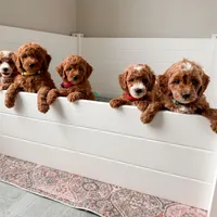 processed/7029957e-0138-4dd1-939a-c84e1ceacde7/facility/f3f6db30-7189-4667-9ccc-c9f2284175b1