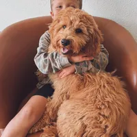 processed/7029957e-0138-4dd1-939a-c84e1ceacde7/facility/fd3dce1c-92a5-4471-b530-c2b21cf0f66e