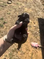 processed/70300faf-8e83-417f-81ee-0c6f3574f22b/listing/45f624cc-181e-428e-ab31-8df913ae5f85/8acf2e8d-357b-40f0-8a56-c50965ddc6f2