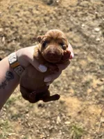 processed/70300faf-8e83-417f-81ee-0c6f3574f22b/listing/7b0eaaca-8c44-4e11-9203-8aa098736dc7/86ac06f8-0264-4744-9dc8-f9aa074e2eea