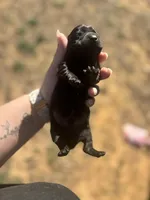 processed/70300faf-8e83-417f-81ee-0c6f3574f22b/listing/ac4ad986-6081-4ac8-a307-d4a6316af75b/e82f9aee-fd42-40e5-900a-96a6556d6d30