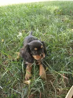 processed/70306ec8-d86d-4096-a6b3-5508b4df2804/facility/2d3c0d1c-0264-492e-98af-56be37840e53