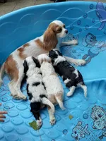 processed/70306ec8-d86d-4096-a6b3-5508b4df2804/facility/31ca3fe0-0a79-43b2-8d27-5a756caa2368