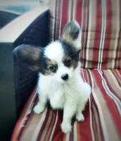 processed/70306ec8-d86d-4096-a6b3-5508b4df2804/facility/b3500c2d-0d47-4866-8f82-98ff5c39e2ce