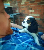 processed/70306ec8-d86d-4096-a6b3-5508b4df2804/facility/fb9cb9e5-b2c7-4f34-9679-47a6692ea826