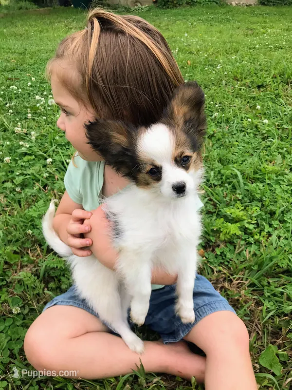 Summer Special- $400 off!