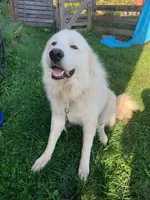 processed/70306ec8-d86d-4096-a6b3-5508b4df2804/listing/5f85458b-a26e-4dc7-ab04-4298a6a80280/69fc1b13-543a-4bbd-b27a-1026bf81d2c7