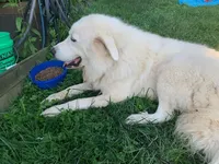 processed/70306ec8-d86d-4096-a6b3-5508b4df2804/listing/5f85458b-a26e-4dc7-ab04-4298a6a80280/eaab32e8-274f-46f6-84bc-d6ff01fa6aab