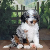 processed/70319982-e553-42d0-8a05-584423c5db3e/facility/1cab2c2d-e098-4a62-b2ad-df7fb63cc4bc