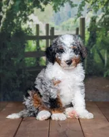 processed/70319982-e553-42d0-8a05-584423c5db3e/facility/1cab2c2d-e098-4a62-b2ad-df7fb63cc4bc