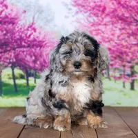 processed/70319982-e553-42d0-8a05-584423c5db3e/facility/7dd8d660-10ad-4c07-a834-f31a3c51240f