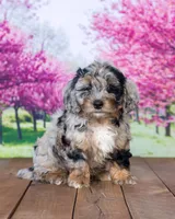 processed/70319982-e553-42d0-8a05-584423c5db3e/facility/7dd8d660-10ad-4c07-a834-f31a3c51240f