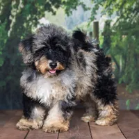 processed/70319982-e553-42d0-8a05-584423c5db3e/facility/8a98bc40-e78b-4d2e-bae8-687d36b41021