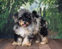 processed/70319982-e553-42d0-8a05-584423c5db3e/facility/8a98bc40-e78b-4d2e-bae8-687d36b41021