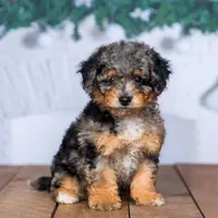 processed/70319982-e553-42d0-8a05-584423c5db3e/facility/ca2b945d-c9be-4630-9a74-88a367a5acc6