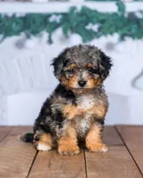 processed/70319982-e553-42d0-8a05-584423c5db3e/facility/ca2b945d-c9be-4630-9a74-88a367a5acc6