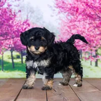 processed/70319982-e553-42d0-8a05-584423c5db3e/facility/ccaf182a-5182-4b74-ae2d-2c3aaa00c25c