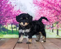 processed/70319982-e553-42d0-8a05-584423c5db3e/facility/ccaf182a-5182-4b74-ae2d-2c3aaa00c25c