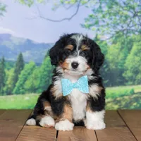 processed/70319982-e553-42d0-8a05-584423c5db3e/facility/cf45a8e7-55dd-40cd-9fe9-266c9ebc23b2