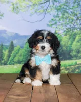 processed/70319982-e553-42d0-8a05-584423c5db3e/facility/cf45a8e7-55dd-40cd-9fe9-266c9ebc23b2