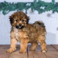 processed/70319982-e553-42d0-8a05-584423c5db3e/facility/dc274776-f9e1-4a64-931a-826129fdf546