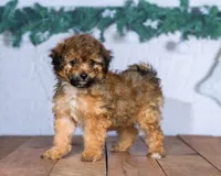 processed/70319982-e553-42d0-8a05-584423c5db3e/facility/dc274776-f9e1-4a64-931a-826129fdf546