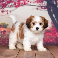 processed/70319982-e553-42d0-8a05-584423c5db3e/facility/e52843af-6e58-4f64-8c65-79f9fb95c25f