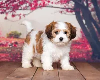 processed/70319982-e553-42d0-8a05-584423c5db3e/facility/e52843af-6e58-4f64-8c65-79f9fb95c25f