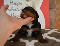 processed/70319982-e553-42d0-8a05-584423c5db3e/listing/0362212d-1f95-4d1d-8afe-3aa43c763778/21bf3263-9700-48cf-8ea7-58daf3709117