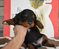 processed/70319982-e553-42d0-8a05-584423c5db3e/listing/0362212d-1f95-4d1d-8afe-3aa43c763778/27f90926-5581-4b44-8c51-1618c3f31bdf