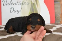 processed/70319982-e553-42d0-8a05-584423c5db3e/listing/0362212d-1f95-4d1d-8afe-3aa43c763778/5f162640-2f3e-4c33-974e-889f087f50be