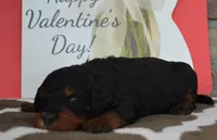 processed/70319982-e553-42d0-8a05-584423c5db3e/listing/0362212d-1f95-4d1d-8afe-3aa43c763778/87ea7e2d-4f75-40c4-8f73-d2b58f7e0769