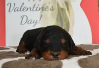 processed/70319982-e553-42d0-8a05-584423c5db3e/listing/0362212d-1f95-4d1d-8afe-3aa43c763778/c2757450-c677-4599-a94a-d0aec35d0f7e