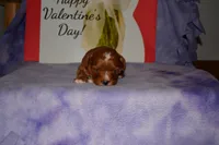 processed/70319982-e553-42d0-8a05-584423c5db3e/listing/6fa2c33f-b87e-4e01-8512-71b0c95730a1/25f41003-7074-4a90-81a2-b81d47bdf42a