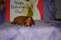 processed/70319982-e553-42d0-8a05-584423c5db3e/listing/6fa2c33f-b87e-4e01-8512-71b0c95730a1/a0f6a250-de50-43d4-98ee-4a18c8ea5296