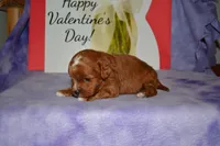 processed/70319982-e553-42d0-8a05-584423c5db3e/listing/6fa2c33f-b87e-4e01-8512-71b0c95730a1/b39b901b-f60a-4eac-9a89-d19489193c36