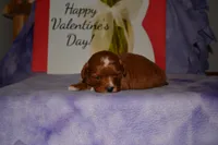 processed/70319982-e553-42d0-8a05-584423c5db3e/listing/6fa2c33f-b87e-4e01-8512-71b0c95730a1/beed0672-9f15-4897-977e-54a64410b826