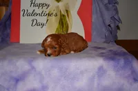 processed/70319982-e553-42d0-8a05-584423c5db3e/listing/6fa2c33f-b87e-4e01-8512-71b0c95730a1/c355f54c-b412-4c70-90fc-4036af342588