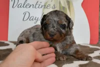 processed/70319982-e553-42d0-8a05-584423c5db3e/listing/c7226027-11be-42b6-8e19-9b9c09624be6/3d33f30f-2380-4334-ab44-0eae83aaafbf