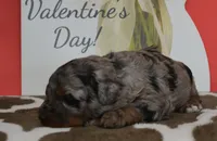 processed/70319982-e553-42d0-8a05-584423c5db3e/listing/c7226027-11be-42b6-8e19-9b9c09624be6/62bc38b5-02a9-46b0-88ef-b175fb2b8fbf