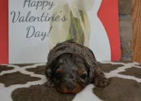 processed/70319982-e553-42d0-8a05-584423c5db3e/listing/c7226027-11be-42b6-8e19-9b9c09624be6/94e564cb-b07b-4e19-be73-348aaf23a9ad