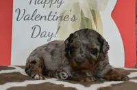 processed/70319982-e553-42d0-8a05-584423c5db3e/listing/c7226027-11be-42b6-8e19-9b9c09624be6/ae46df1b-1ef4-4b34-9d21-de16d17bd0dc