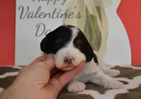 processed/70319982-e553-42d0-8a05-584423c5db3e/listing/d7b5ef60-740d-4d3b-8864-0255f6c7652e/02c31368-4b8b-4c5c-a6ba-a7bbb2b92d75